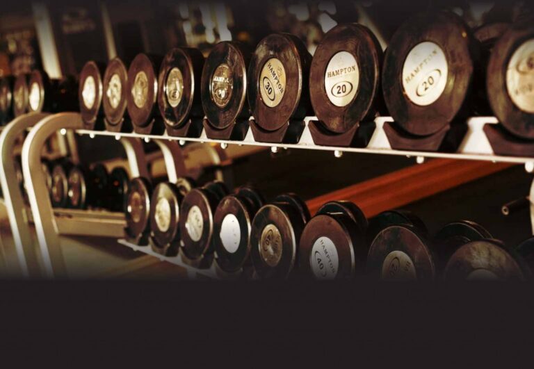 feature weights 1024x708 1 768x531